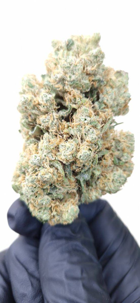 Can you name this exclusive Waldos variety?! 👀

Only best products for Waldos community🌴💨

#WeedLovers #Mmemberville #NFTDay #NFTProjects