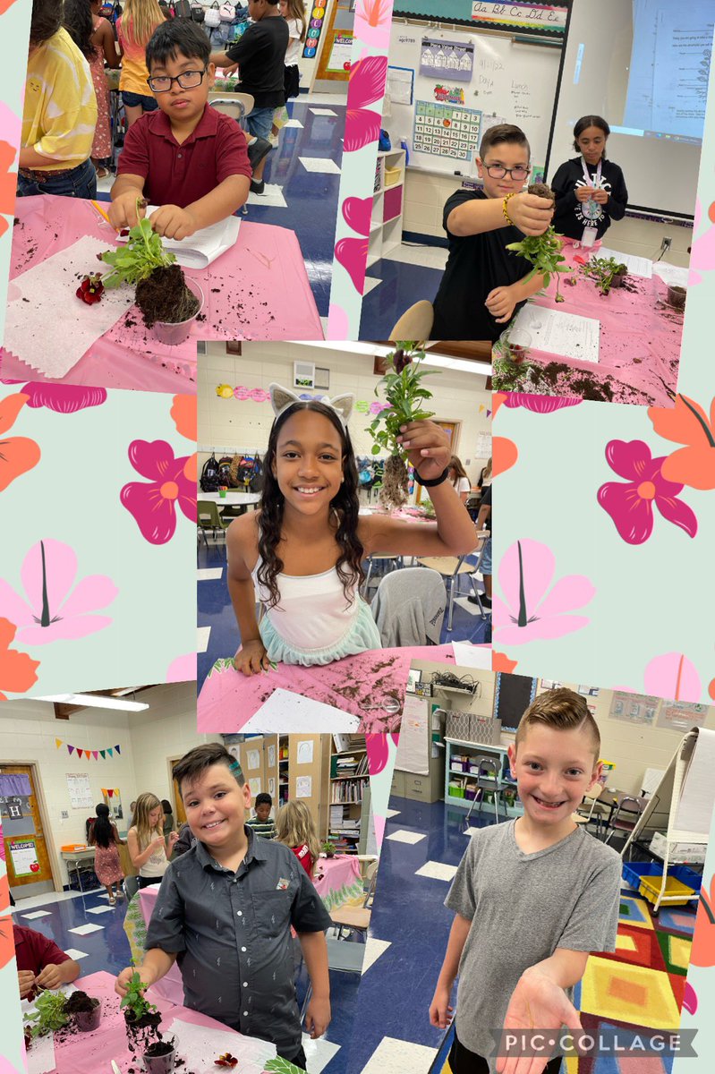 Mrs. Hanlon's 4th Grade Class tweet media