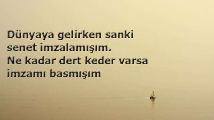 #çarşamba 🖐

#GeceyeBirNot 🤓

#GeceyeSonSoezuem 👀

Dünya.. ...🌏