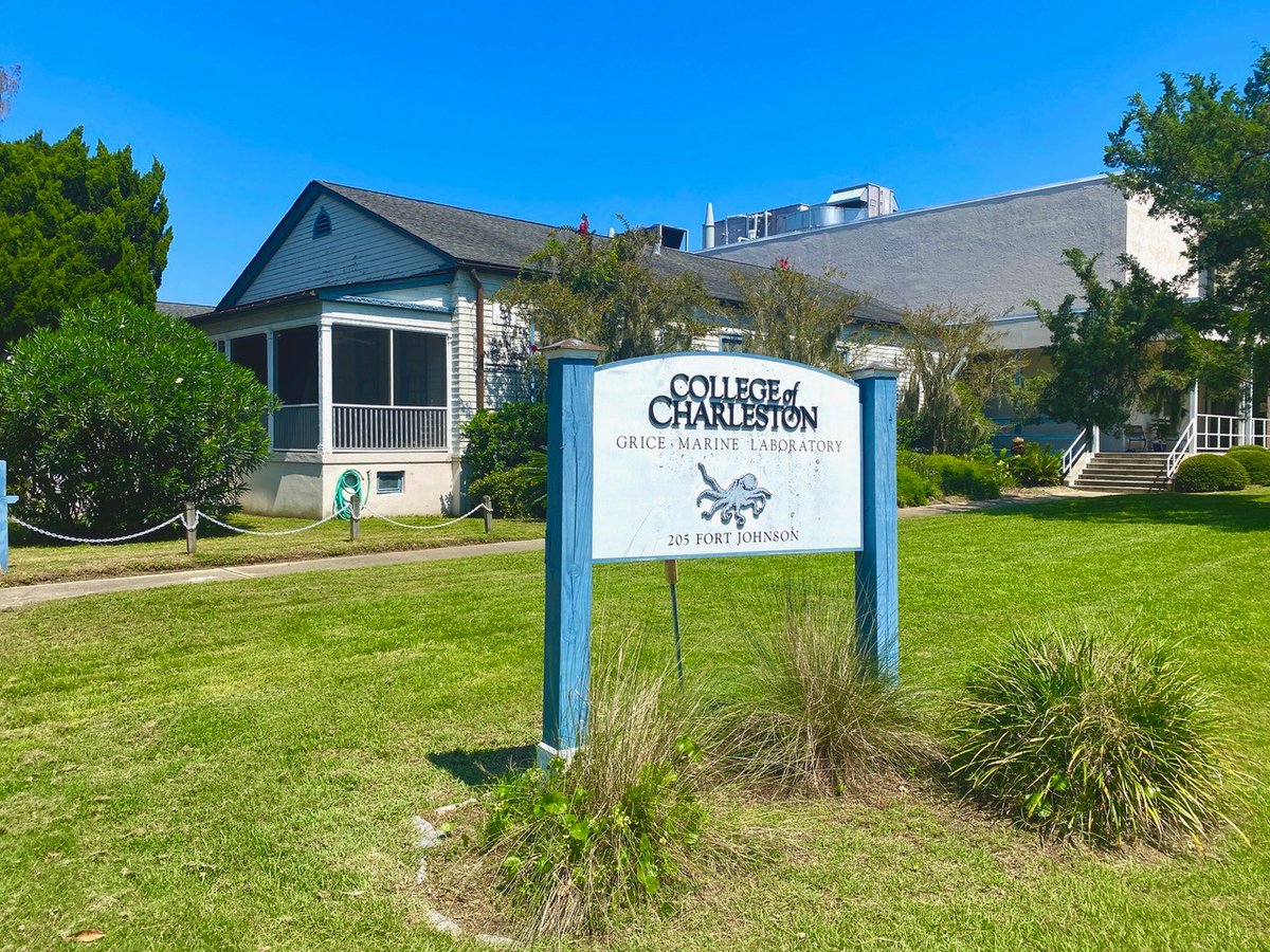 CofC School of Natural and Environmental Sciences tweet media