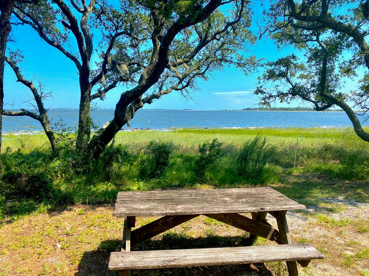 CofC School of Natural and Environmental Sciences tweet media