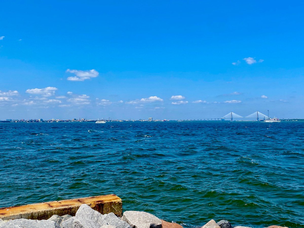 CofC School of Natural and Environmental Sciences tweet media