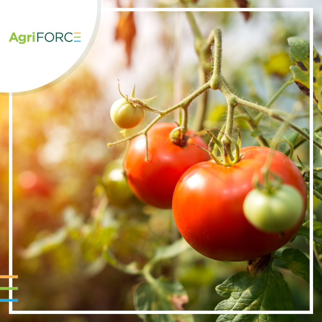 At #AgriFORCE, our goal is to help farmers worldwide achieve #sustainable levels of productivity while reducing their environmental footprint.
We believe this is possible through the development of new technologies.
Learn more here agriforcegs.com