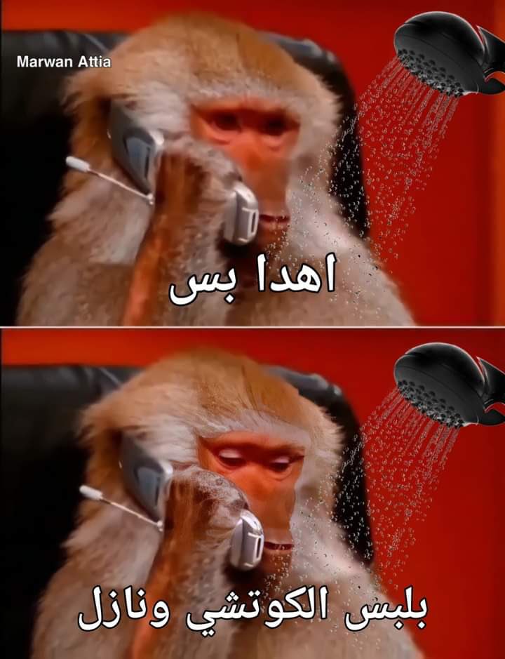 egymeme11's tweet photo. صاحبي بقاله ساعة واقف تحت البيت وبيكلمني وهو متعصب وعمال يزعق عشان انزل : https://t.co/HRwgtLsWc0