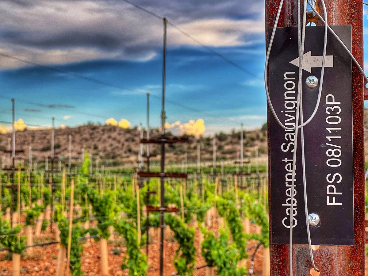 caduceuscellars's tweet photo. Caduceus Cellars 2020 Anubis. 50% Cabernet Sauvignon, 30% Cabernet Franc, 20% Aglianico from the Eliphante block in Northern AZ. Available in our Jerome tasting room and at https://t.co/CeQebNuvWx. Online orders: Summer Shipping rates apply. #arizonawine #caduceuscellars https://t.co/SRuyEITlcO