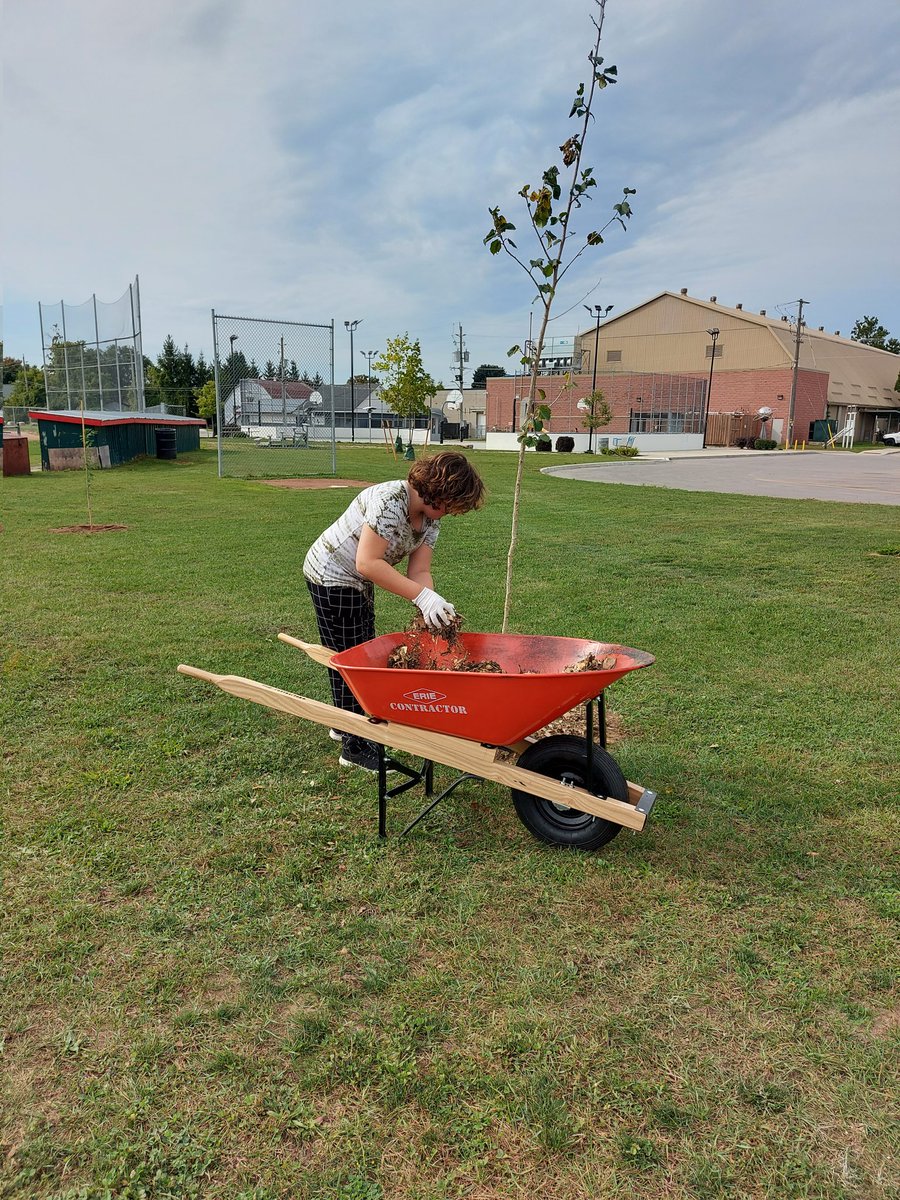 Kelly Di Salvo tweet media