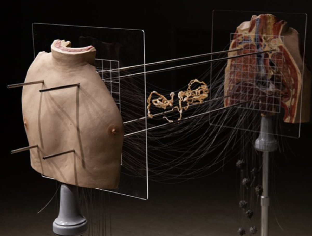 psuarts_arch's tweet photo. SOVA faculty Cristin Millett and Kimberly Lyle, along with alumni Cydnei Mallory and Kiana Honarmand, have collaborated to create “Körperkammer,” which is on display at Moving Poets Novilla in Berlin, Germany until Sept. 25. #psusova #sovasogood https://t.co/b1zCuvVxtp https://t.co/KrOquJeEkX