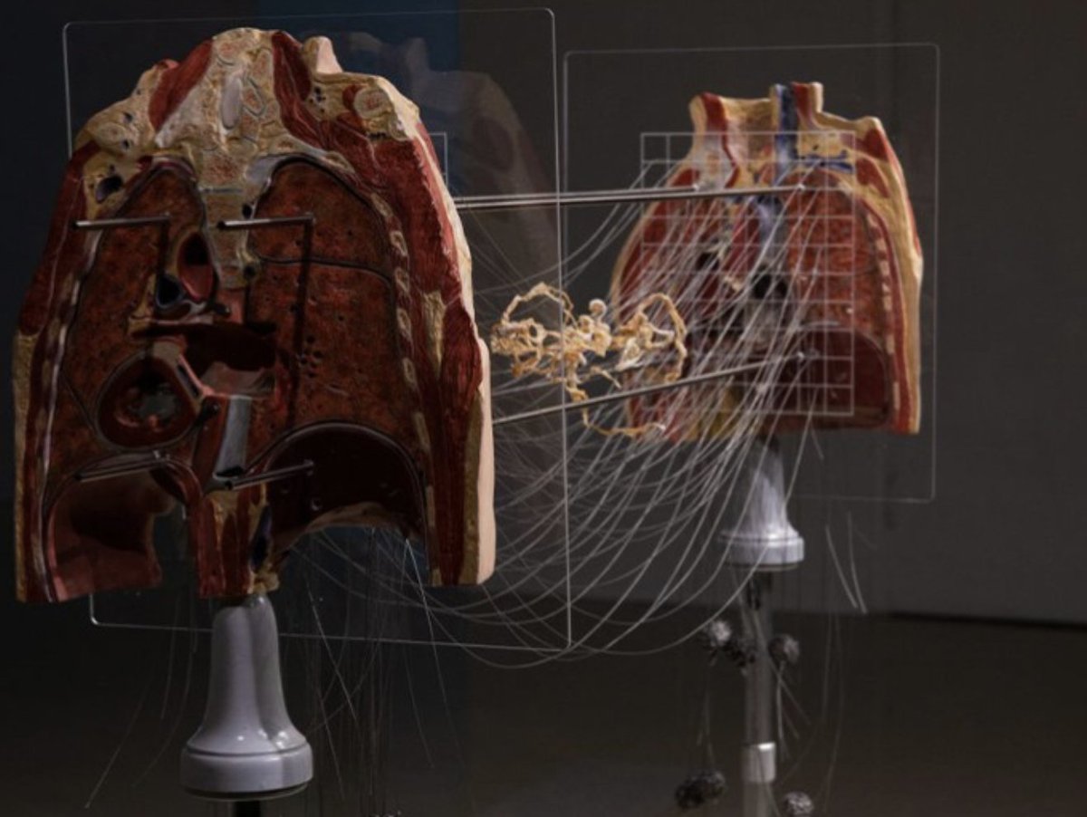 psuarts_arch's tweet photo. SOVA faculty Cristin Millett and Kimberly Lyle, along with alumni Cydnei Mallory and Kiana Honarmand, have collaborated to create “Körperkammer,” which is on display at Moving Poets Novilla in Berlin, Germany until Sept. 25. #psusova #sovasogood https://t.co/b1zCuvVxtp https://t.co/KrOquJeEkX