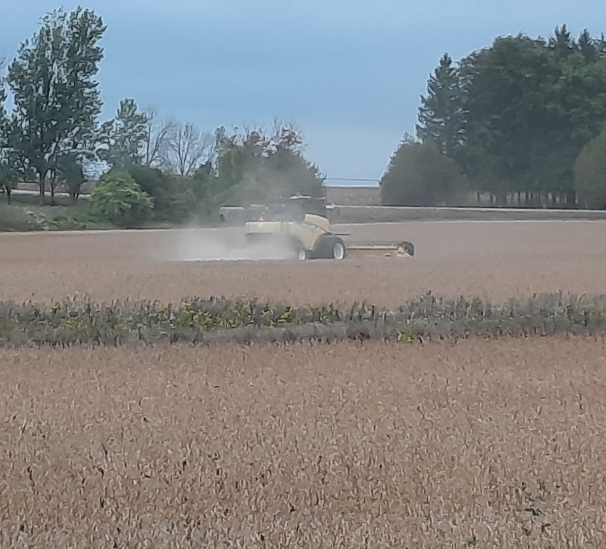 TerryDaynard's tweet photo. Black clouds in the west; @grandridgefarms combine in the soybean field. If anything will bring rain that should. https://t.co/gZwtS8LPOf