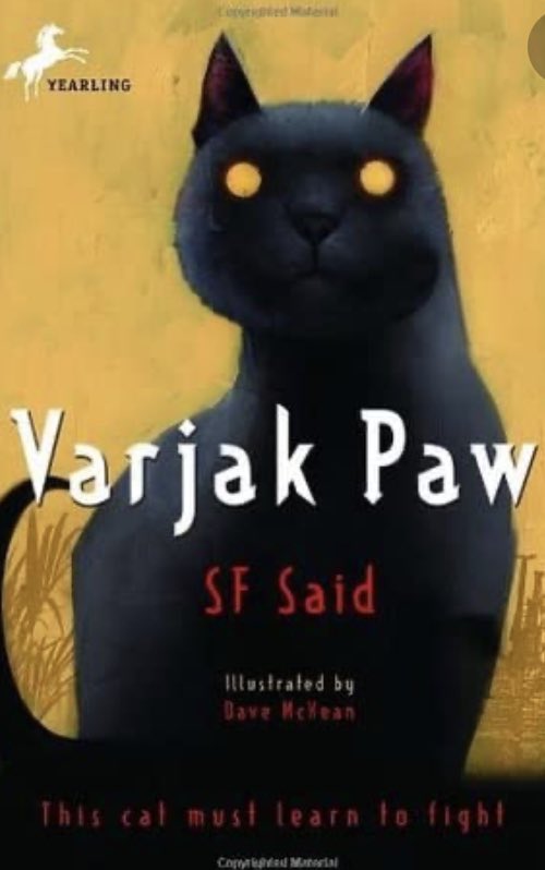 Mrs Cain DSM tweet media