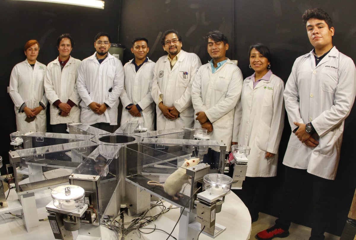 Milenio_Puebla's tweet photo. #Alzheimer ⚕️ En el laboratorio de Neurofarmacología de la BUAP, estudiantes de licenciatura, maestría y doctorado liderados por el Dr. Daniel Limón, realizan estudios para recabar datos del alzheimer y buscar alternativas. 
📸 @Isahmar_Torres 
📲 https://t.co/OVGIRKzigv https://t.co/BjlKCGu8ih