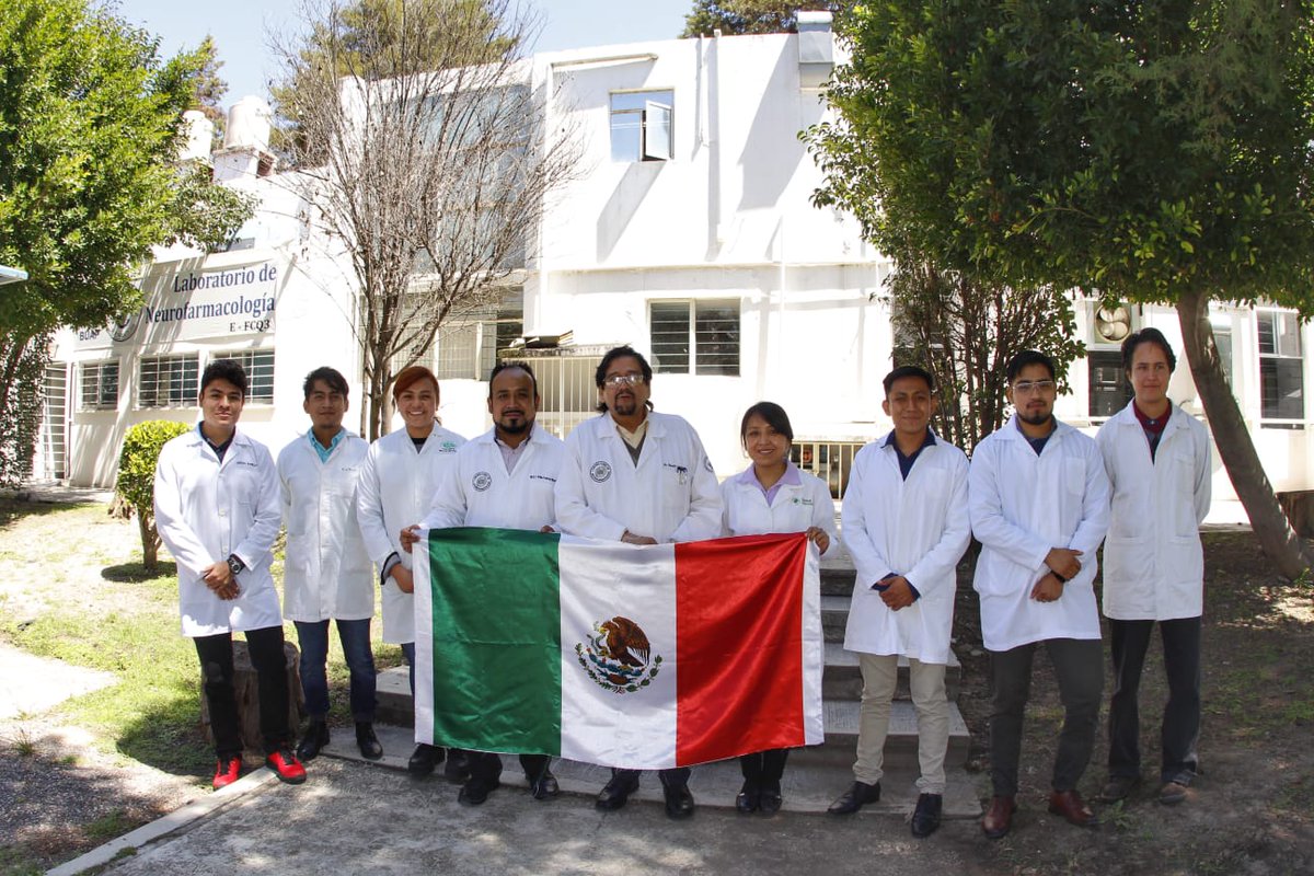 Milenio_Puebla's tweet photo. #Alzheimer ⚕️ En el laboratorio de Neurofarmacología de la BUAP, estudiantes de licenciatura, maestría y doctorado liderados por el Dr. Daniel Limón, realizan estudios para recabar datos del alzheimer y buscar alternativas. 
📸 @Isahmar_Torres 
📲 https://t.co/OVGIRKzigv https://t.co/BjlKCGu8ih
