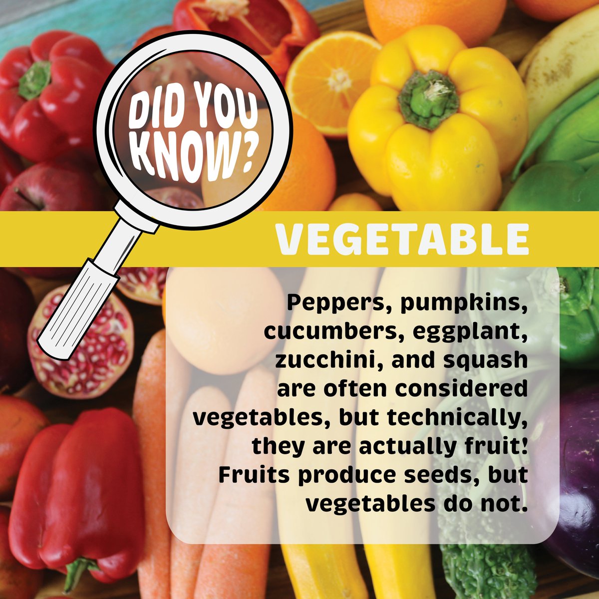aitcmb's tweet photo. Today is Local Veggie Day! You can learn all about how veggies are grown &amp; processed in MB through our new #FoundationsOfMBAg virtual resources: https://t.co/xk5UTzh8DY

Thank you to our 2022 Presenting Sponsor, @PeakoftheMarket.

#FacesofMBAg #FarmFoodAwarenessWeek @MBGovAg https://t.co/3xfK7NqPJ5