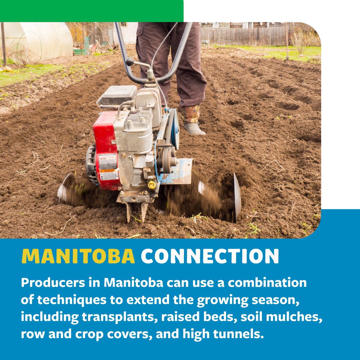 aitcmb's tweet photo. Today is Local Veggie Day! You can learn all about how veggies are grown &amp; processed in MB through our new #FoundationsOfMBAg virtual resources: https://t.co/xk5UTzh8DY

Thank you to our 2022 Presenting Sponsor, @PeakoftheMarket.

#FacesofMBAg #FarmFoodAwarenessWeek @MBGovAg https://t.co/3xfK7NqPJ5