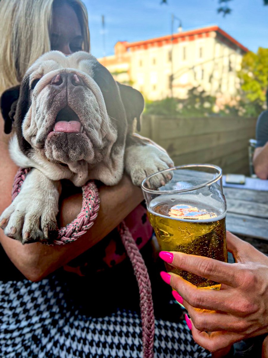 RaleighTimesBar (@raleightimesbar) on Twitter photo Cute pup ☑️ Beer ☑️ Table outside with your bestie fam ☑️ Now you're ready to celebrate the last night of summer the right way. Zoey 🐶 is here to share Caitlin's baller beer picks this week: <a href="/cptlawrencebeer/">Captain Lawrence</a> Autumn Blaze Pumpkin Ale & <a href="/sincider/">Original Sin Cider</a> Black Widow Blackberry Cider! Cute pup ☑️ Beer ☑️ Table outside with your bestie fam ☑️ Now you're ready to celebrate the last night of summer the right way. Zoey 🐶 is here to share Caitlin's baller beer picks this week: <a href="/cptlawrencebeer/">Captain Lawrence</a> Autumn Blaze Pumpkin Ale & <a href="/sincider/">Original Sin Cider</a> Black Widow Blackberry Cider!