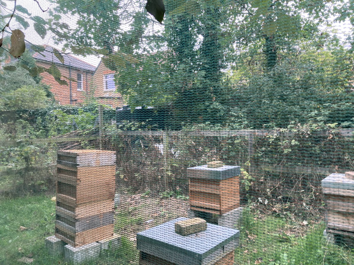 I spent today with the amazing <a href="/SydenhamGarden/">Sydenham Garden</a> team &amp; co-workers who are on our <a href="/EnterpriseEDP/">Enterprise Development Programme</a> supporting them on their enterprise journey. I was blown away by the serene environment, welcoming people &amp; therapeutic garden. Looking for corporate team days, honey, flowers go here!