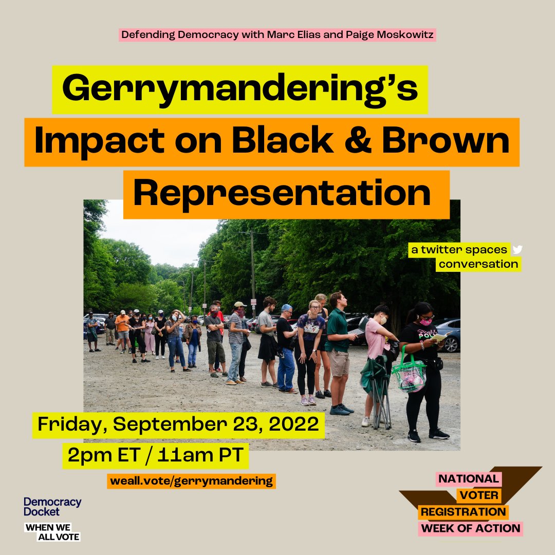 Democracy Docket tweet media