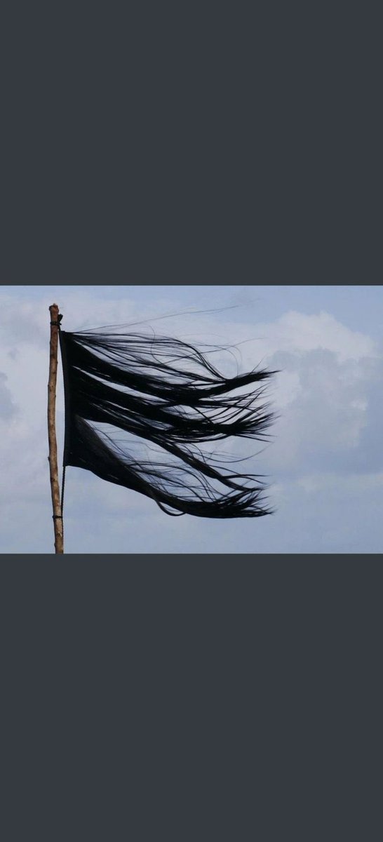 #MahsaAmini  #مهسا_امینی