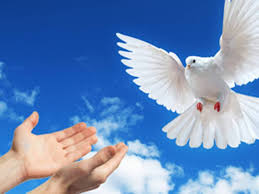 ReginaTopcuba's tweet photo. "El día en que el poder del amor anule el amor al poder, el mundo conocerá la paz". Mahatma Gandhi 
#DiaInternacionalDeLaPaz #CódigoSí https://t.co/pgLRuUptEQ