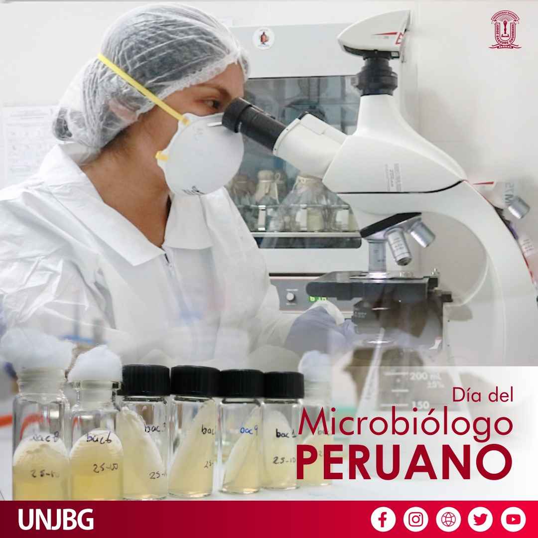 UNJBG Tacna tweet media