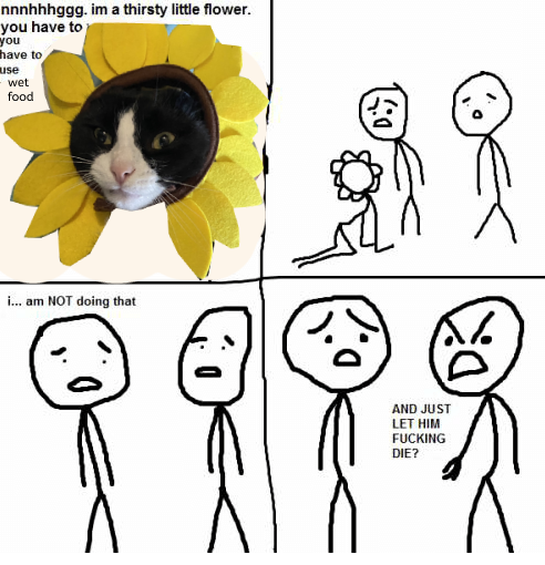 thank you fey for this 