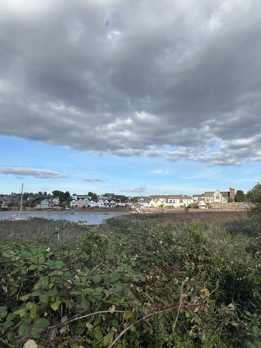 John Harvey 💜 🇺🇦 tweet media