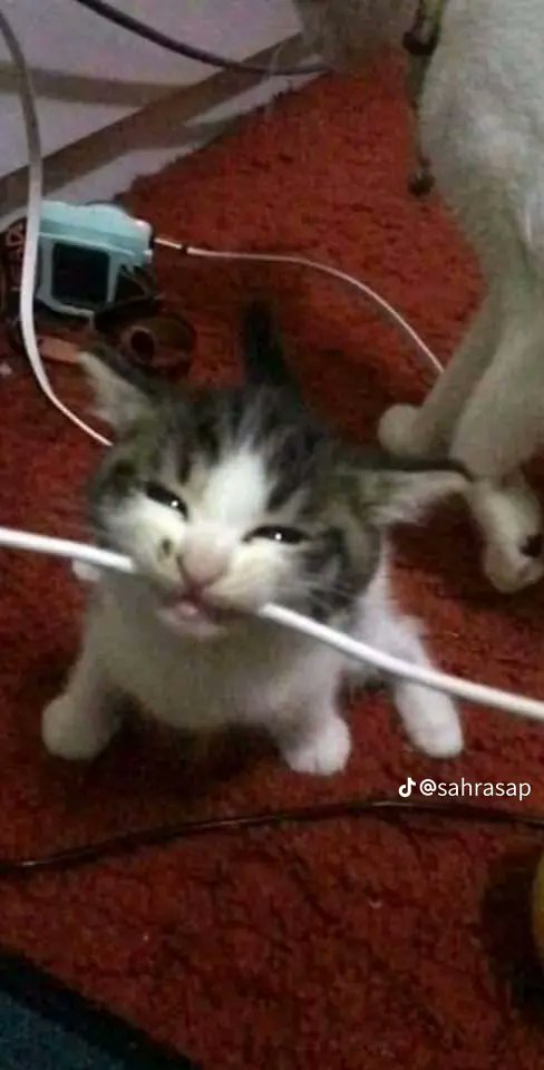   Holy crap you got Jack Black to sing him happy birthday ,,thats so cool 