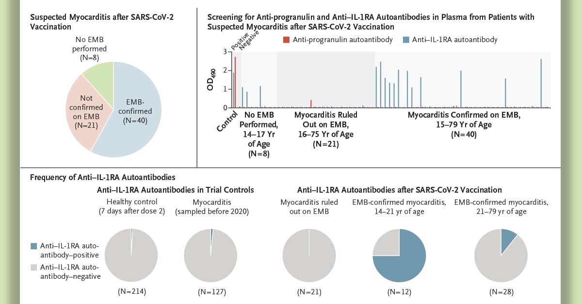 NEJM's tweet photo. Neutralizing autoantibodies to interleukin-1 receptor antagonist (ILR-1a) were present in the circulation of the majority of patients with biopsy-confirmed myocarditis after SARS-CoV-2 vaccination. https://t.co/2DWedYb0EV https://t.co/fhcMNqfwdA