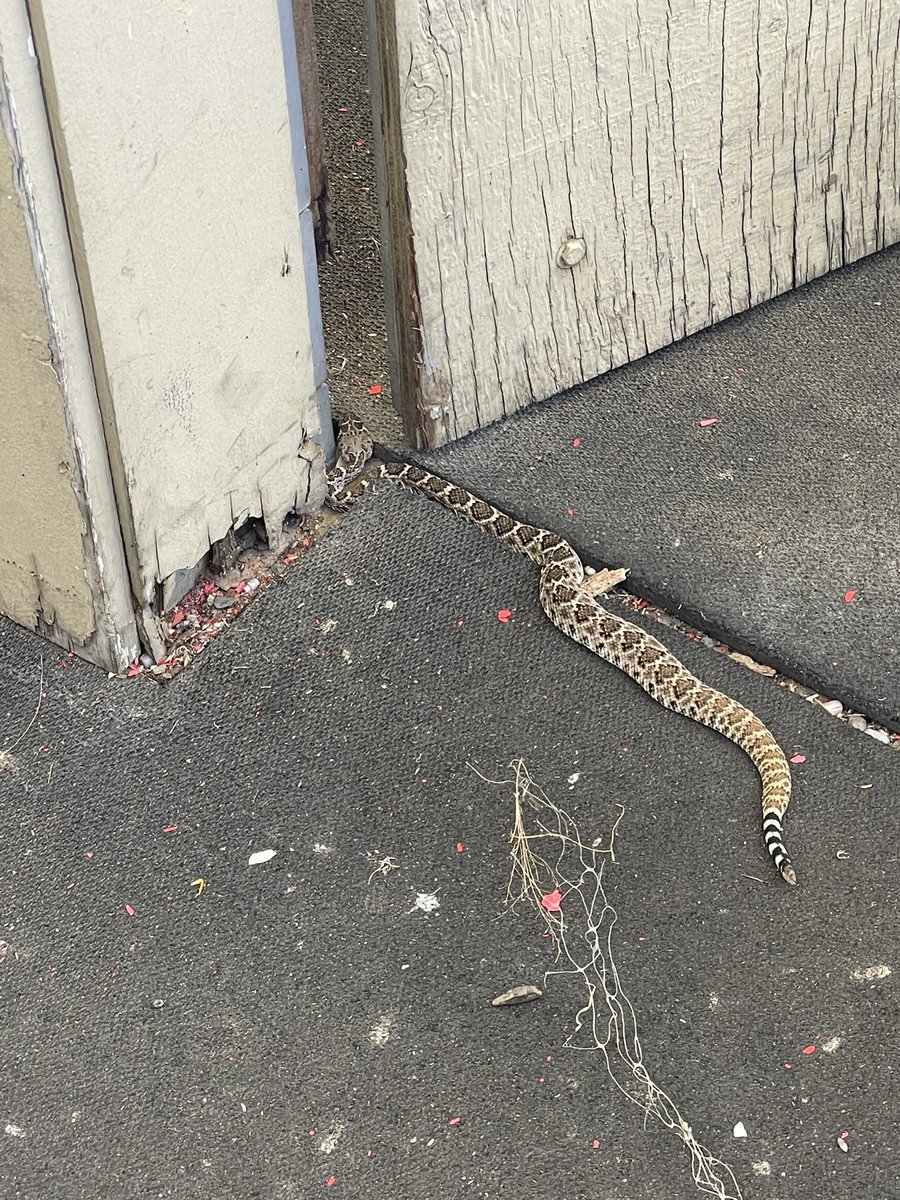 Isaac Allender tweet media