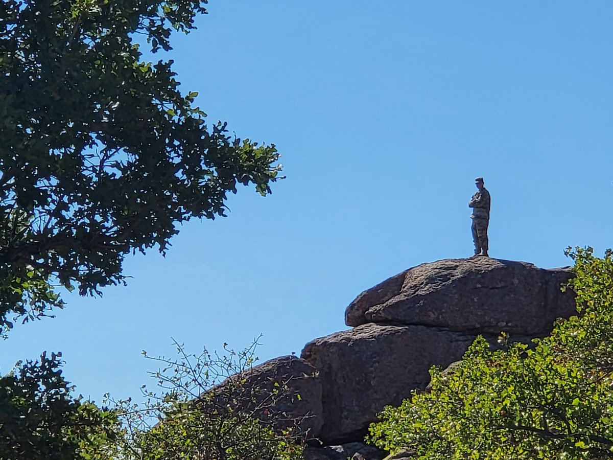 Isaac Allender tweet media