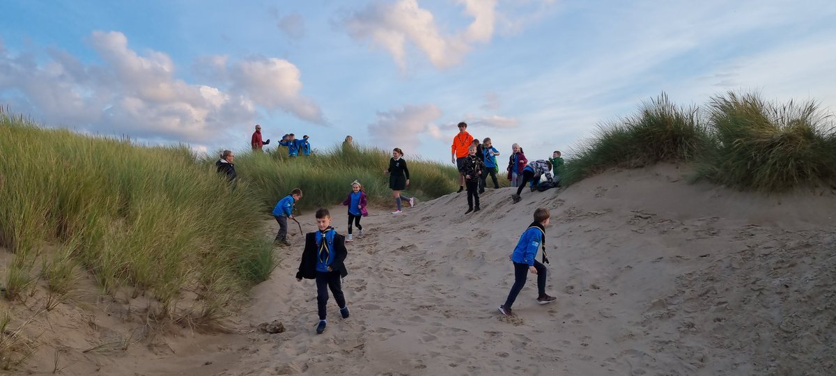 1stwillowbeaver's tweet photo. Cracking night for a walk around the pond, up in the dunes and then games on Ainsdale beach ☀️  @SeftonNorth https://t.co/z8eWqqIclB