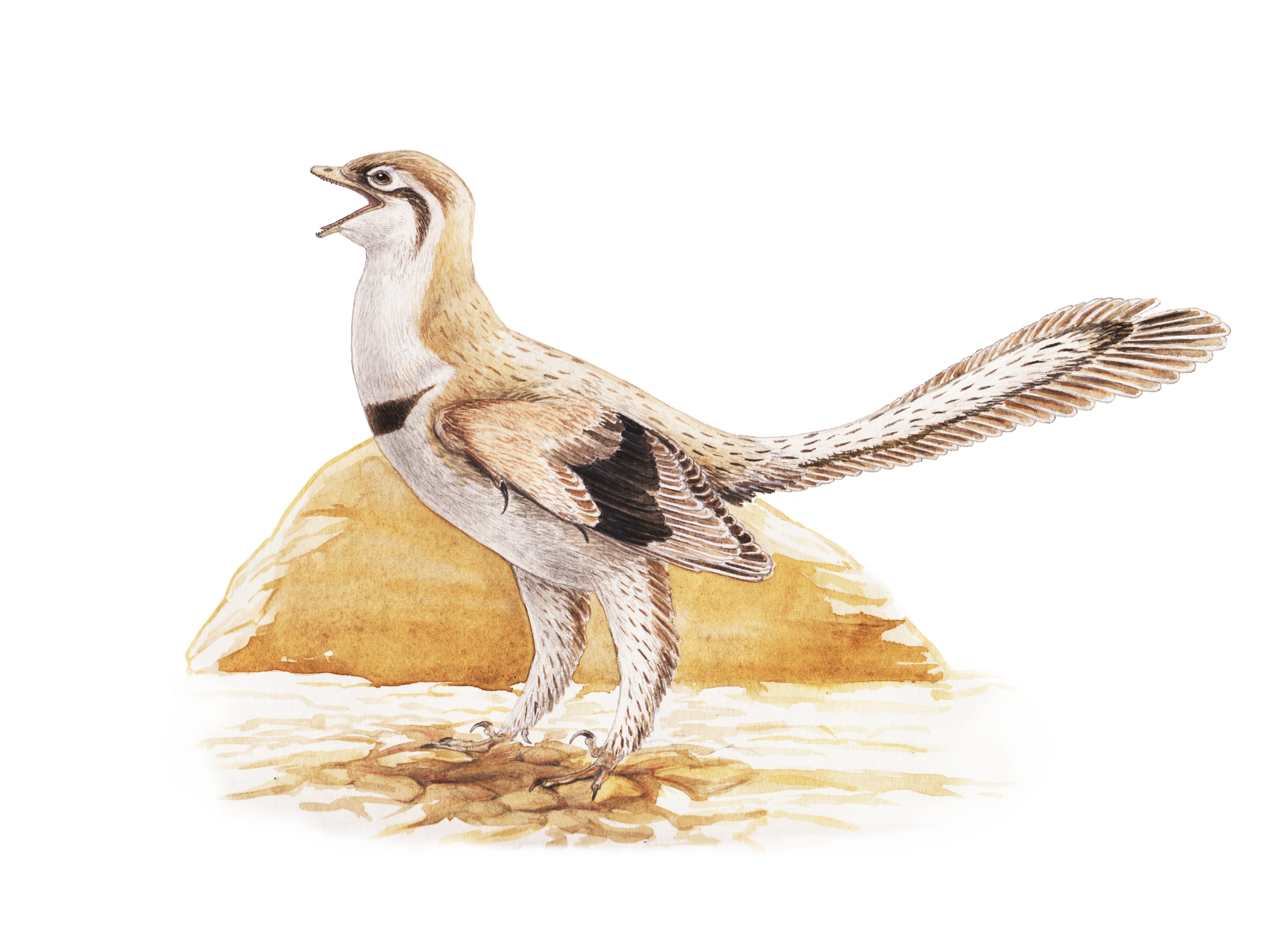 Stephanie Real Scientists DE on Twitter 