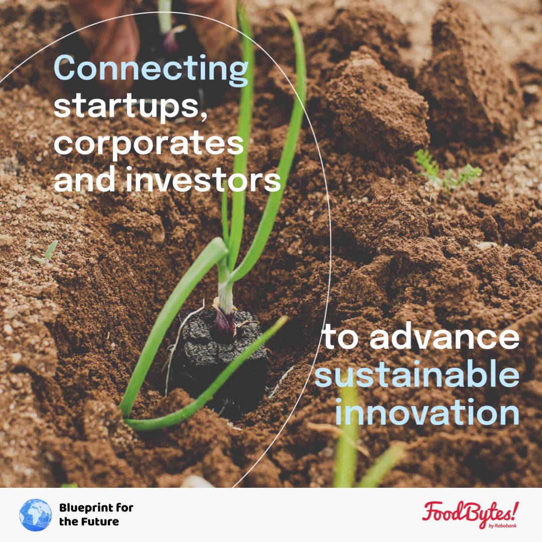 Foodbytes by Rabobank (@foodbytes) on Twitter photo We were thrilled to co-sponsor the #NYCClimateweek "Blueprint for the Future" working dinner featuring fully traceable ingredients! <a href="/globalcompact/">UN Global Compact</a> <a href="/wholechain/">Wholechain</a> <a href="/IDHTrade/">IDH</a> <a href="/BensonHillInc/">Benson Hill</a> <a href="/cbmrey/">🌐 CBM 🌐</a> <a href="/greven_anne/">Anne Greven</a> <a href="/nina_meijers/">Nina Meijers</a> <a href="/lifeakua/">AKUA®</a> We were thrilled to co-sponsor the #NYCClimateweek "Blueprint for the Future" working dinner featuring fully traceable ingredients! <a href="/globalcompact/">UN Global Compact</a> <a href="/wholechain/">Wholechain</a> <a href="/IDHTrade/">IDH</a> <a href="/BensonHillInc/">Benson Hill</a> <a href="/cbmrey/">🌐 CBM 🌐</a> <a href="/greven_anne/">Anne Greven</a> <a href="/nina_meijers/">Nina Meijers</a> <a href="/lifeakua/">AKUA®</a>