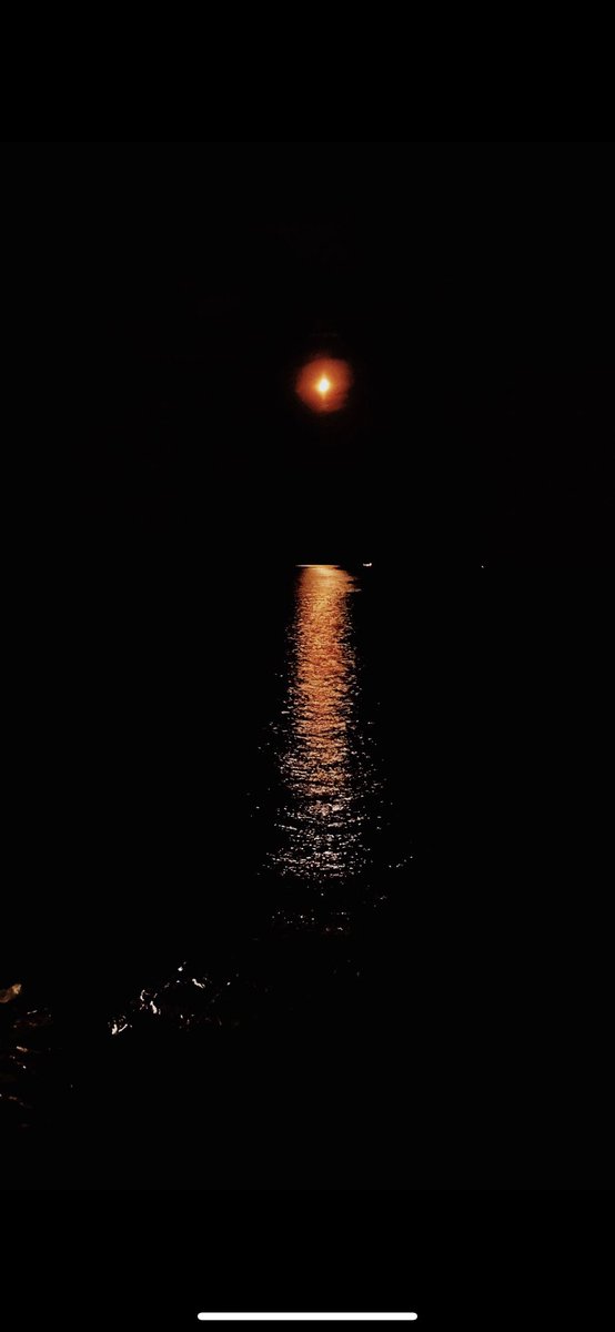 Teoflove's tweet photo. Time to reflect #silence https://t.co/yKLGAxchr1