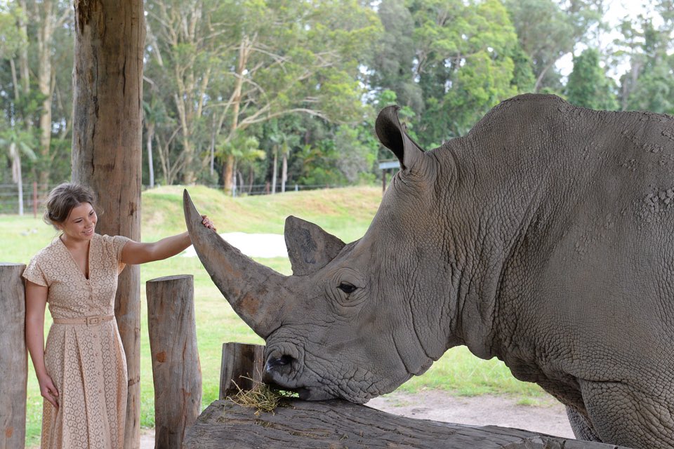 BindiIrwin's tweet photo. Happy #WorldRhinoDay! Incredibly proud of our amazing team for achieving so much with the @AustraliaZoo rhino breeding program. We also support rhino conservation in Africa through @wildwarriors. We must do everything we can to protect this magnificent species. https://t.co/e3Pzaj8UP2