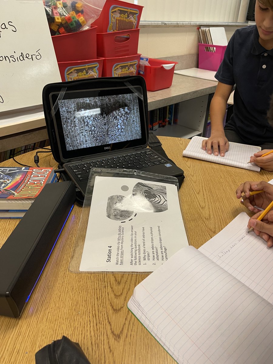 5th graders in Ms. Hernandez class completed investigations in stations about different animal adaptations. #kmesbearcubs #kmesforthewin #oneteamonegoal #sdocgoodtogreat #inquirywednesday #fifthgrade #investigationstations