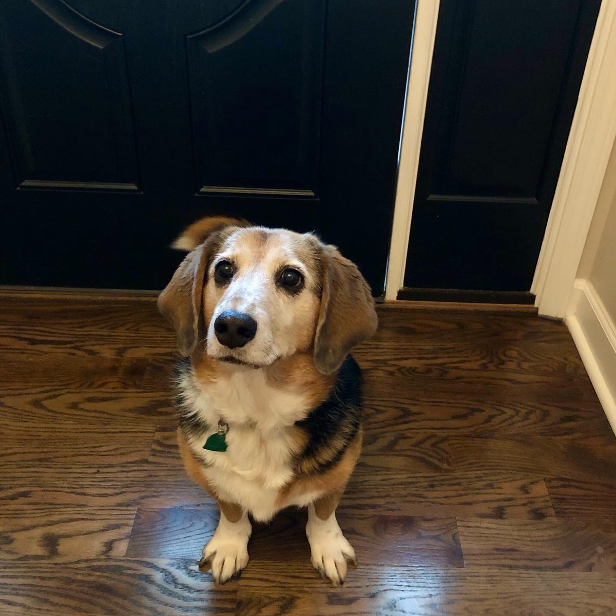 Rebecca Martin tweet media