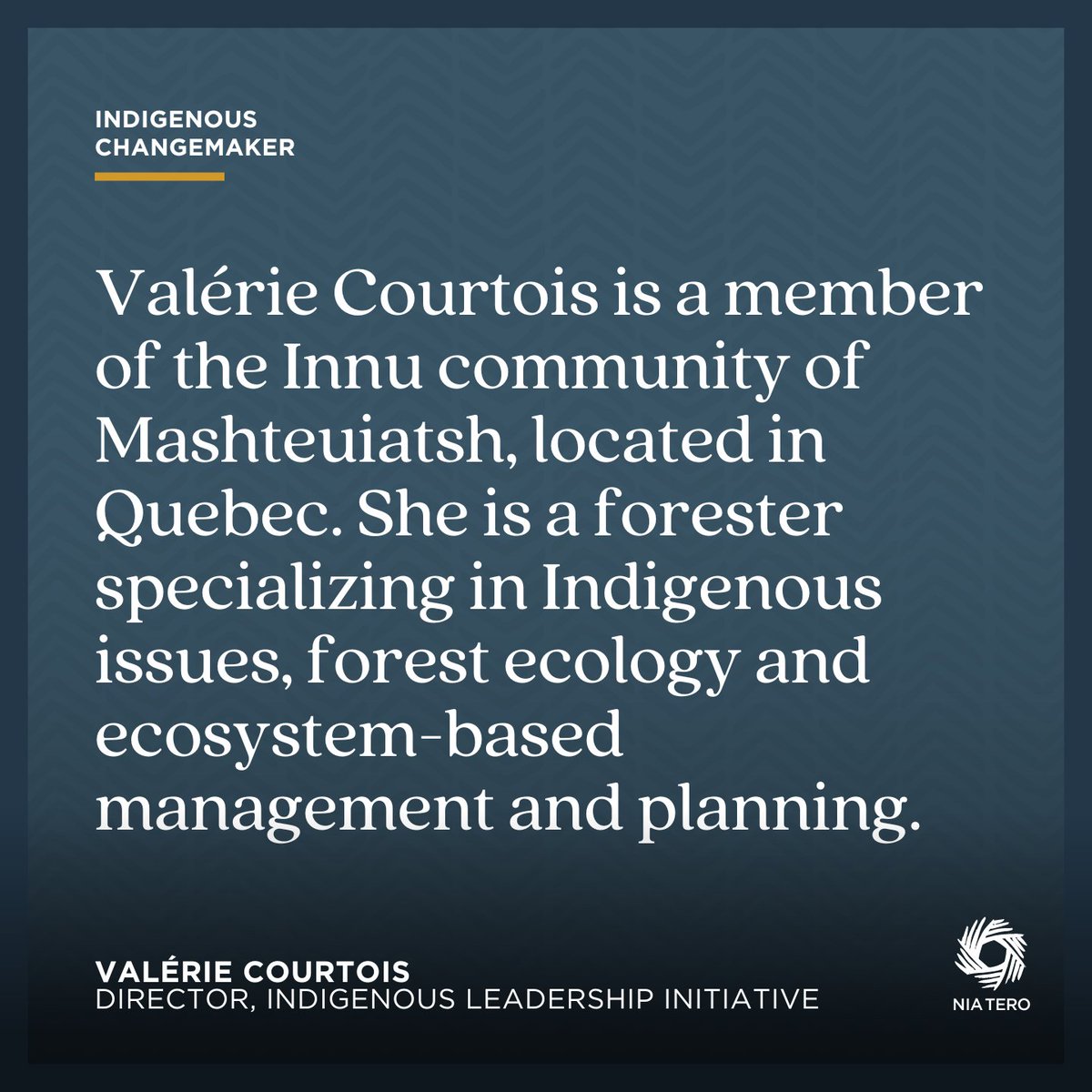 Meet #Indigenous changemaker Valérie Courtois, who is working to advance #Indigenousguardianship of our planet at #ClimateWeek in New York City. 

Stay tuned throughout #ClimateWeekNYC to learn more about #IndigenousChangemakers to follow. #IndigenousGuardians @ILInationhood