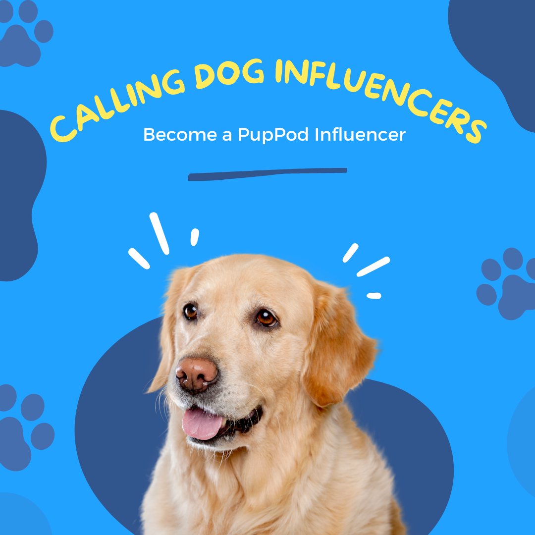 PupPod's tweet image. Become a PupPod Influencer!

We're looking to work with influencers who are passionate about PupPod. Passion and hustle are much more important that audience size.

Apply here: ow.ly/Ce0D50EZohx

#puppod #influencer #dogtech #doginfluencer #dogs #pet #playtime #doggames