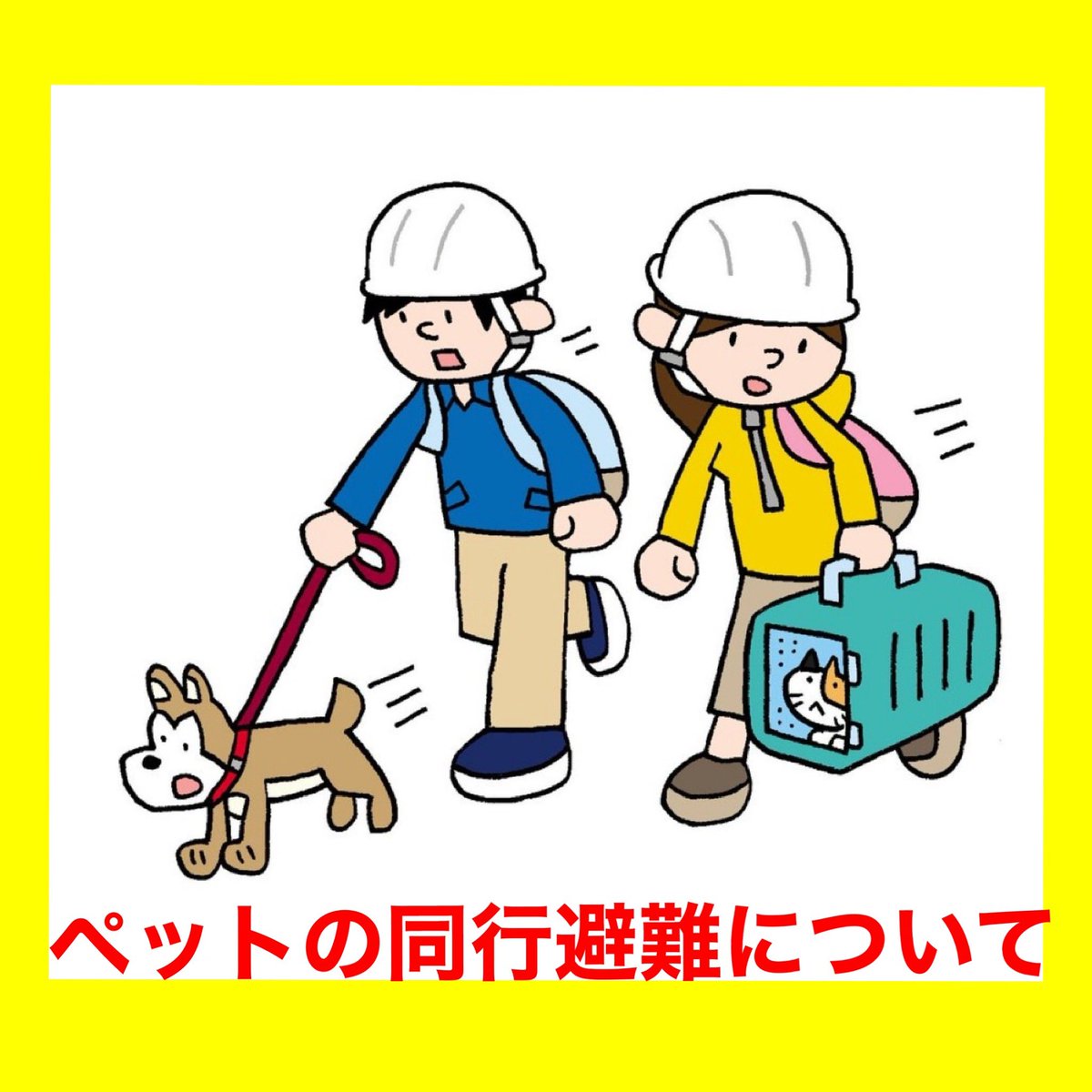 nozakimakoto77's tweet photo. 江戸川区は106か所の区立小中学校を避難所としており、その全ての避難所でペット同行避難が可能です。動物を苦手とする方やアレルギーをお持ちの方など様々な方が避難してますので、飼い主とは別のペット専用スペースが設けられ、そこでの飼育・管理は飼い主の責任で行って頂くことが基本となります。 https://t.co/zpmDZB9P9a