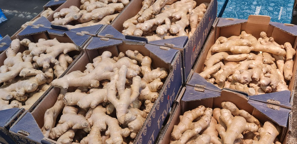 <a href="/noctusug/">......</a> <a href="/PureGrowAfrica/">Pure Grow Africa</a> This is the dominant variety on the market. Because the producers and suppliers are consistent and reliable. We can introduce our variety on condition that we have organised consistent production.