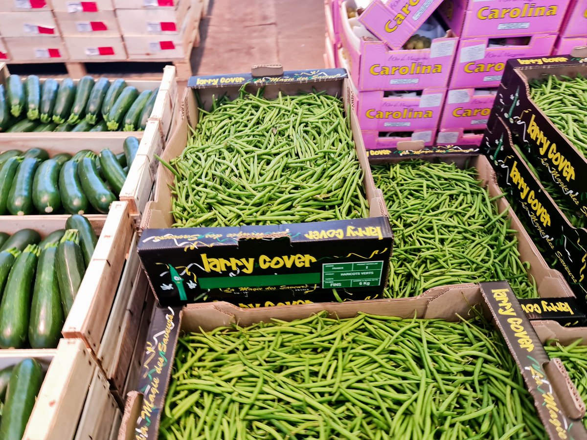 <a href="/iwolian/">LILY OJ</a> <a href="/PureGrowAfrica/">Pure Grow Africa</a> If you can provide quality plantain the market is huge, Hass is preferable for Avocado, Orange Sweet Potatoes and Purple big size passions, pineapples etc. We need to talk about Global GAP and then ▶️