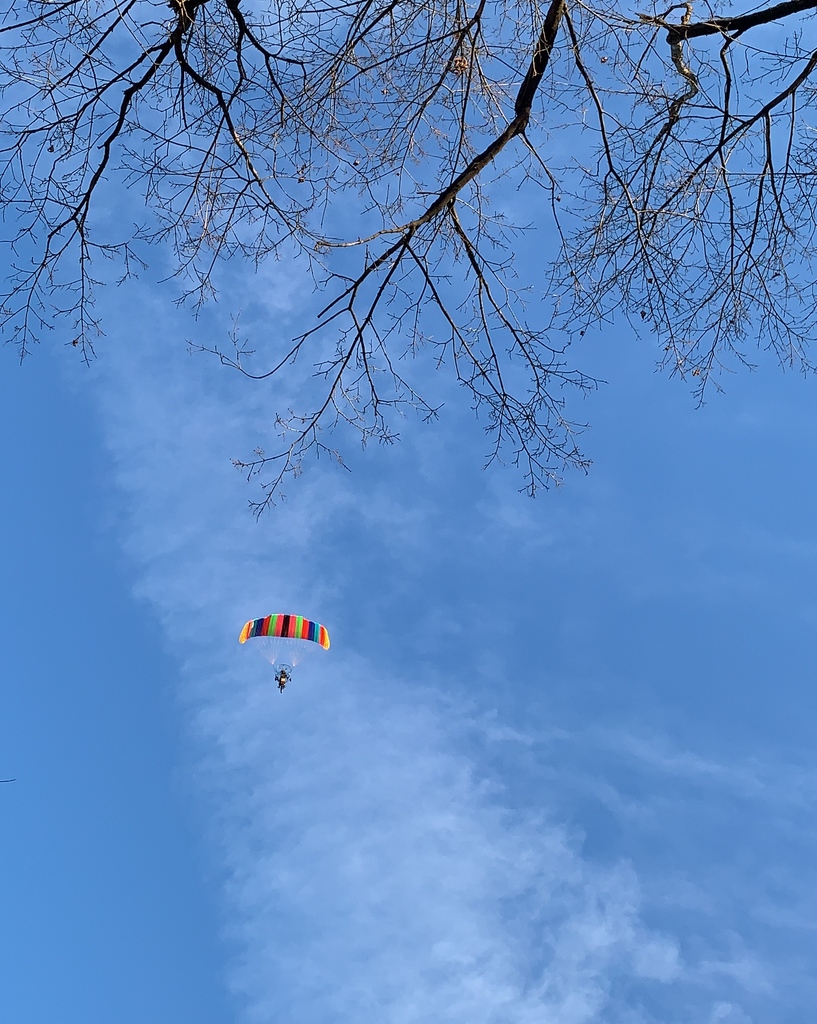 Soaring like a bird🕊 #photography #beautiful