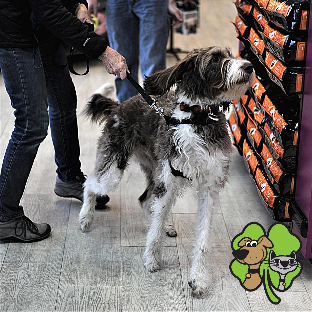 thepetbeastro's tweet photo. When you smell your favorite treats in the next aisle!😆 What toy or treat from The Pet Beastro does your pet go crazy for? Tell us in the comments!
#doglovers #rawfeddogs #naturaldogtreats #rawpetfood #michigandogs #dogsofmichigan #thepetbeastro #madisonheights https://t.co/COwuZpoIyG