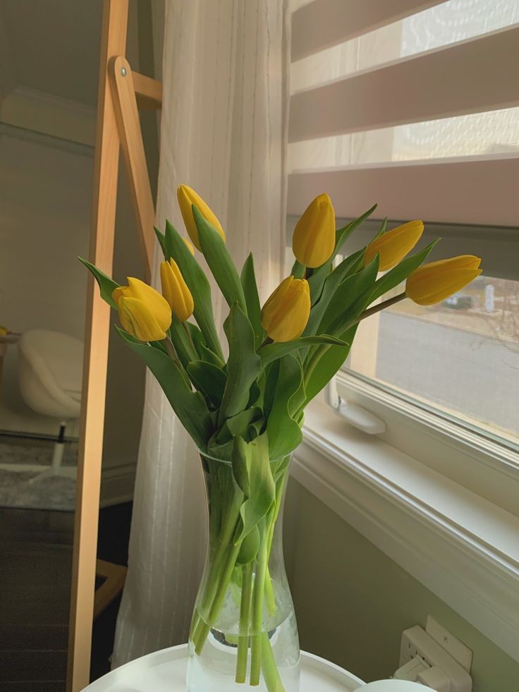 me gustas, furro. ‹3