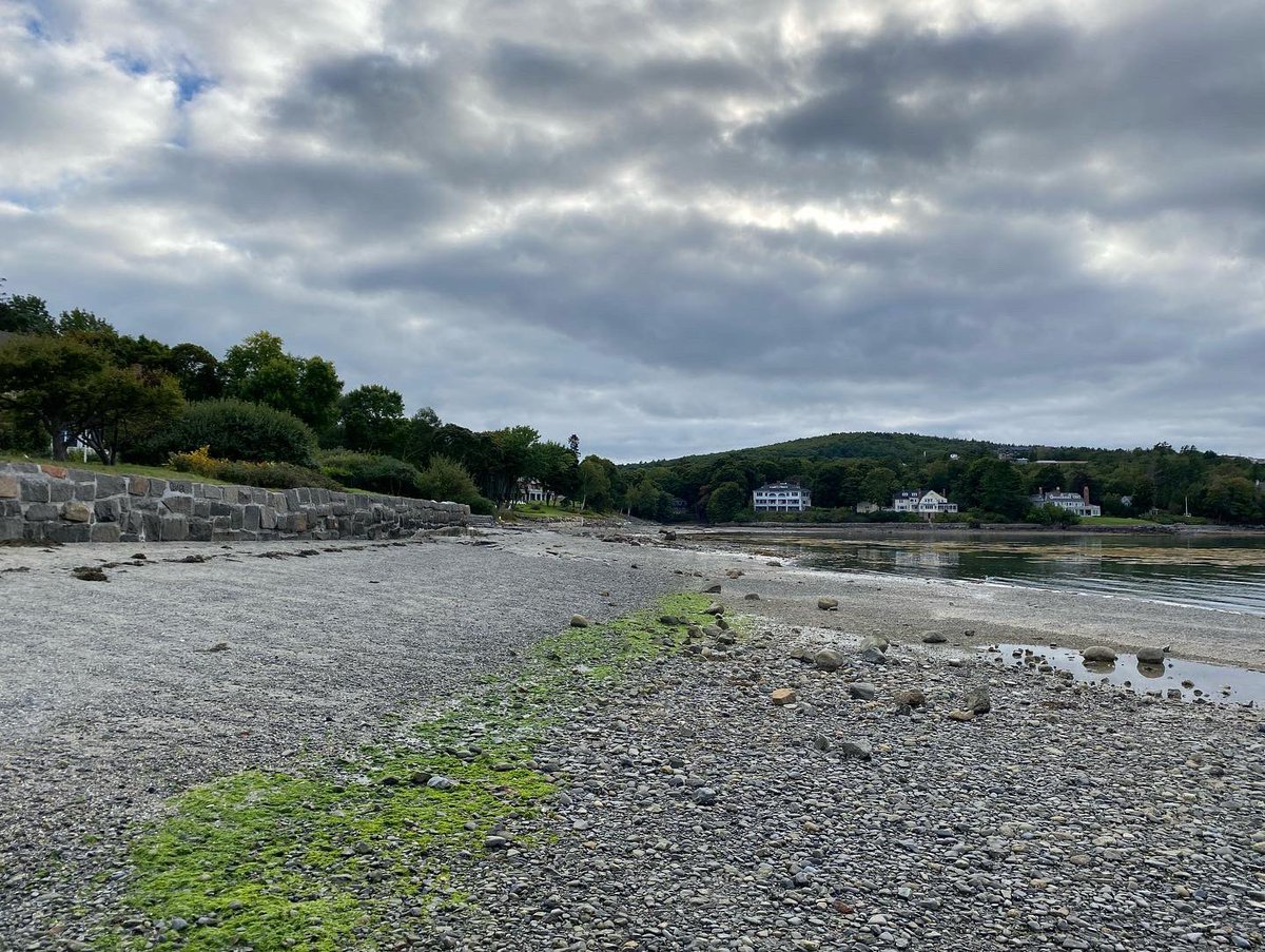 ktayers's tweet photo. #barharbor is absolutely beautiful! https://t.co/2J5MYuH3pM