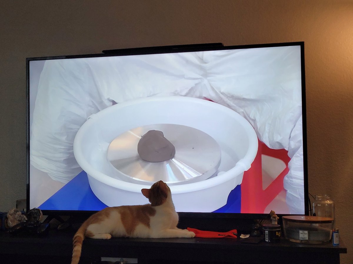AlexDinonaut's tweet photo. @EvanAndKatelyn Peony likes the pottery wheel video https://t.co/MPcC16wnA1