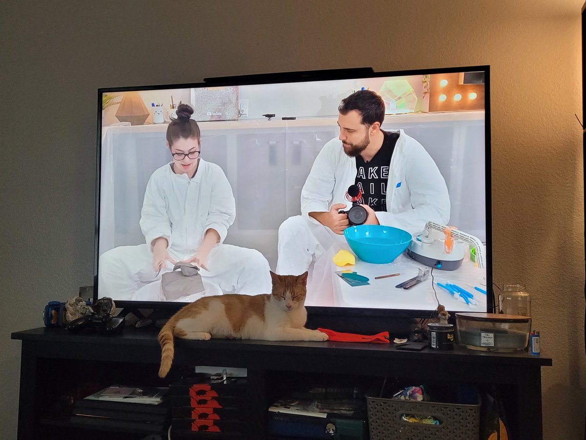AlexDinonaut's tweet photo. @EvanAndKatelyn Peony likes the pottery wheel video https://t.co/MPcC16wnA1