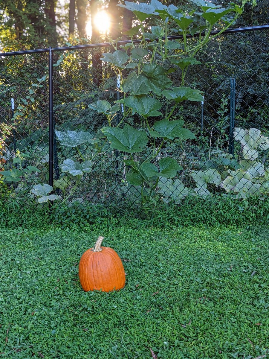 Magic Key FM tweet media