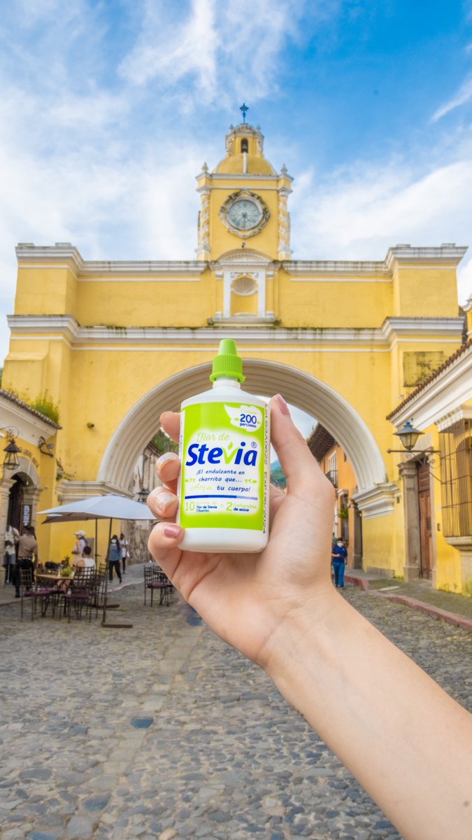 🤍Flor de Stevia Chorrito🤍 tu dulce compañia donde sea que tu vayas 🥰 #endulzante #estevia #trip #antigua #guatemala #sweet #dulzura #nocarbs #healthyfood #healthylifestyle